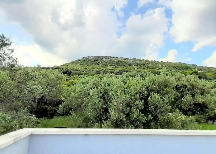 Apartament Pantan *